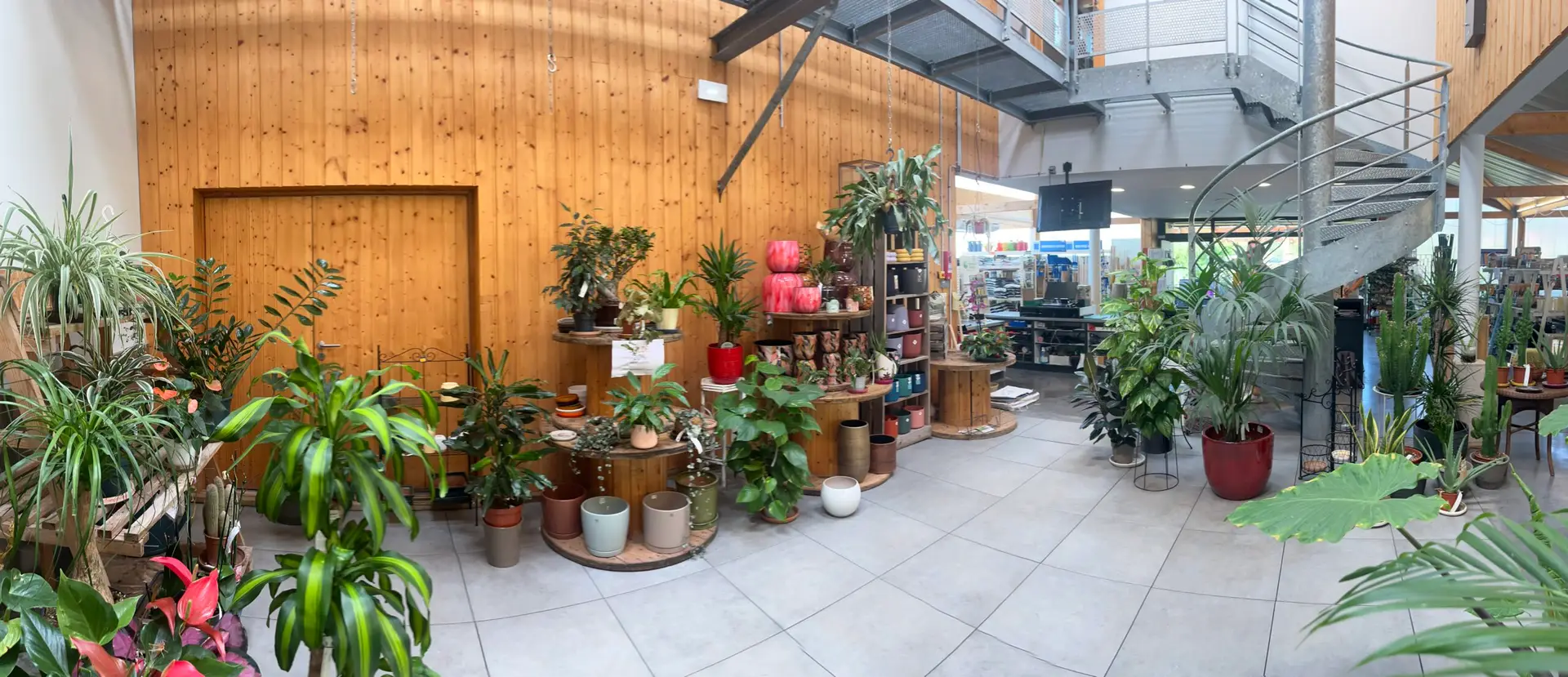 un magasin de plante avec plein de meuble en bois